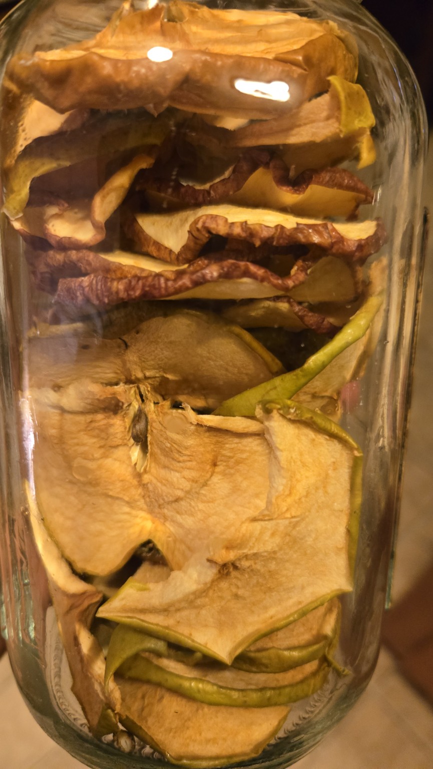 Jar filled with dehydrated apple slices for animals