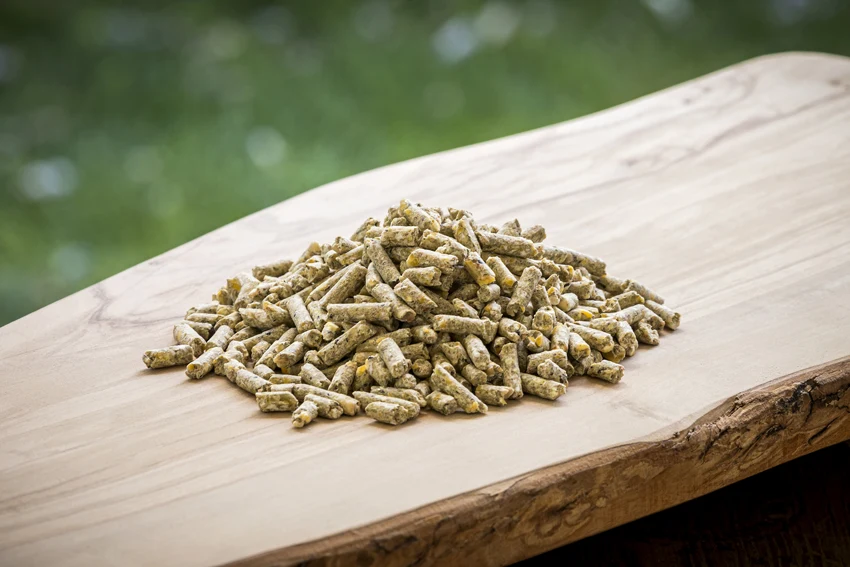 Modesto Milling Goat Dairy Pellets – 40 lbs. feed, manufacturer photo