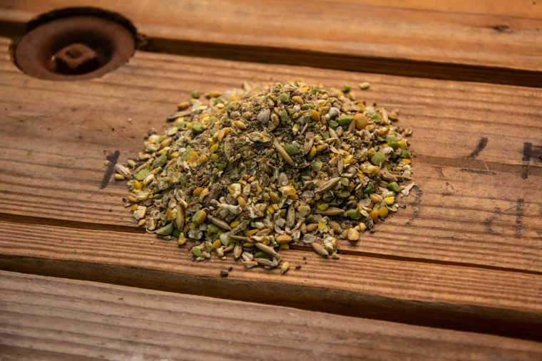 Organic Classic Grind Layer Feed, 25lbs manufacturer product photo