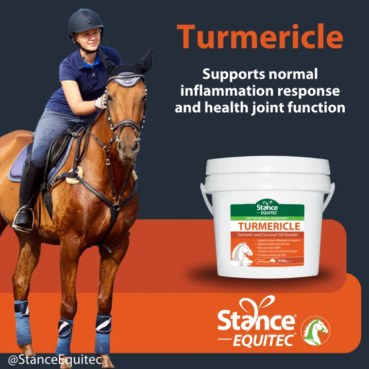 Turmericle, 5lbs manufacturer product photo