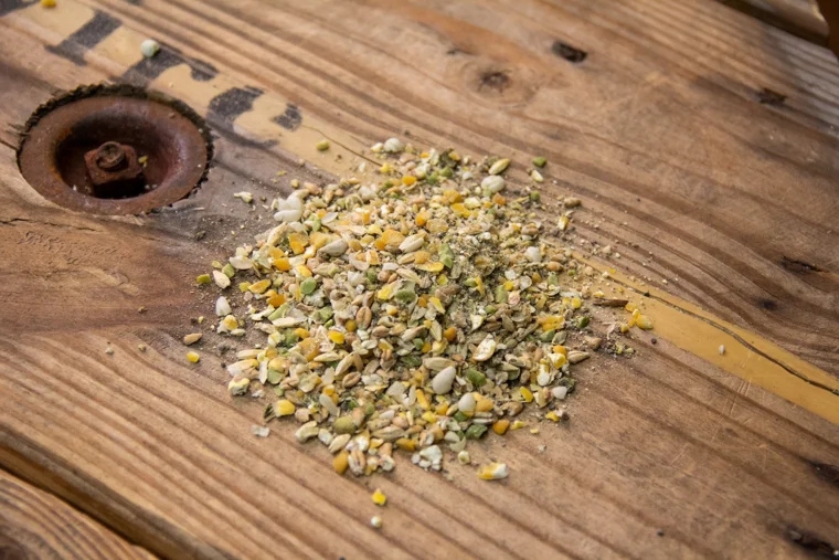 Organic Duck Layer Feed, 10lbs manufacturer product photo