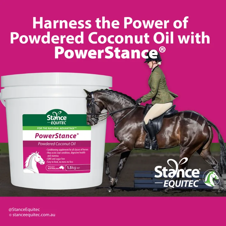 Power Stance, 15lbs manufacturer product photo
