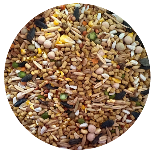 Incredible Lay Feed w/Ext. Pellet 40# package