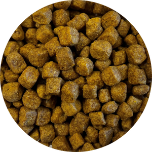 Hi Protein Nugget Style 40# package
