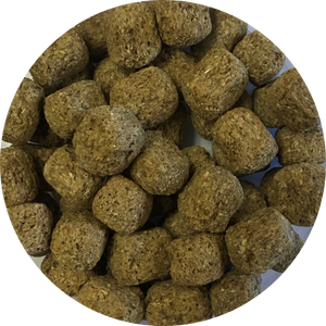Rat & Mouse Dense 50# package