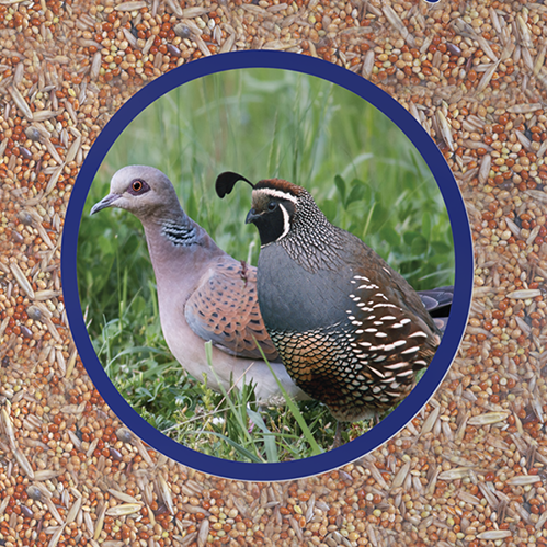 Dove & Quail 25# package