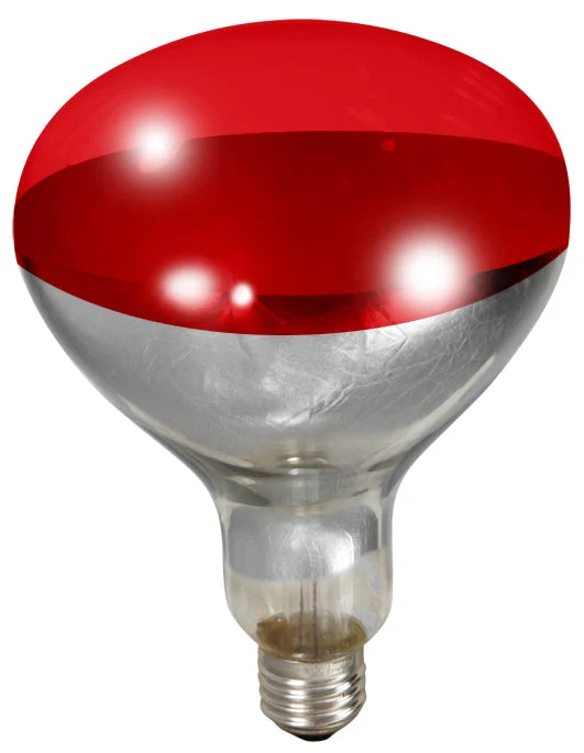Little Giant Red Brooder Heat Lamp Bulb — 250 W product