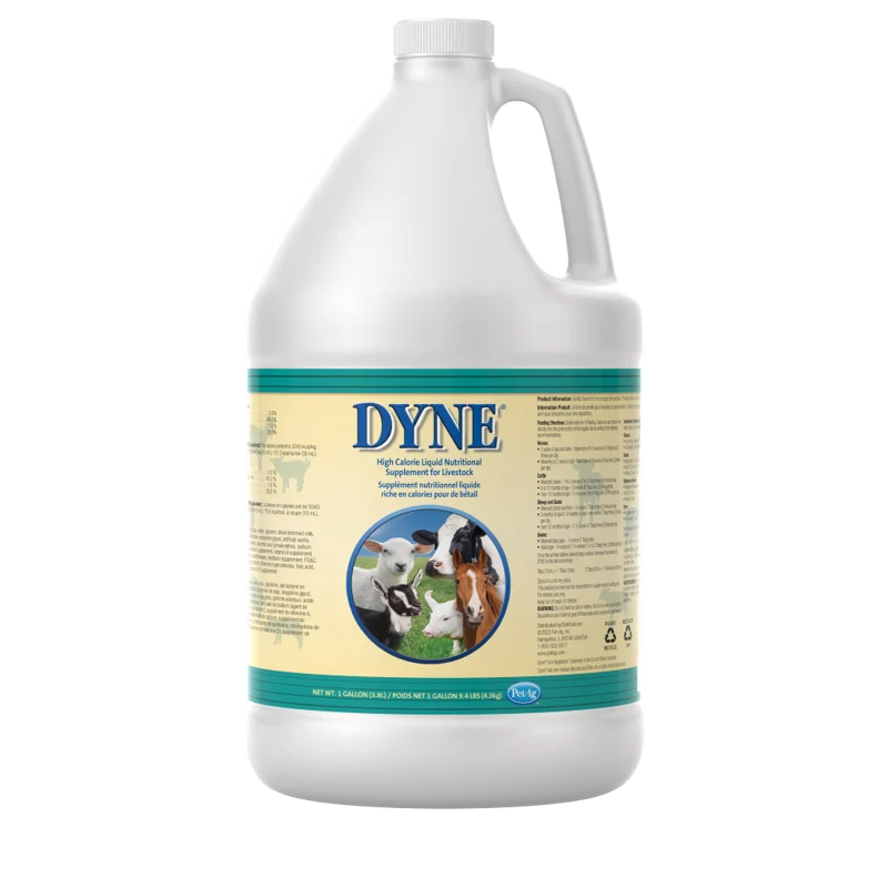 PetAg Dyne High Calorie Liquid for Livestock — 1 gallon product