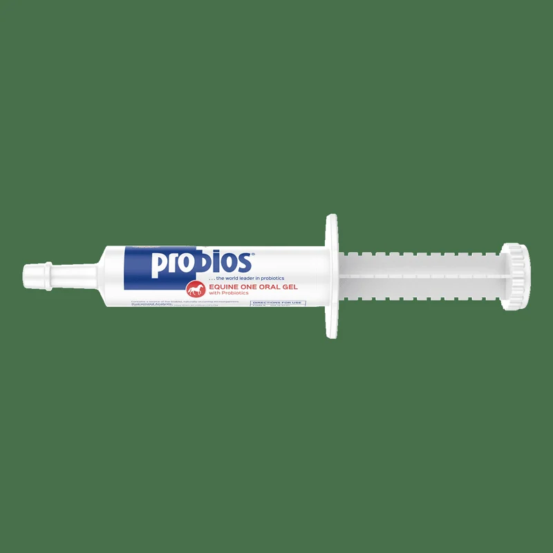 Probios Equine One Oral Gel — 30 g product