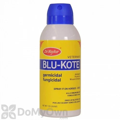 Dr. Naylor Blu-Kote Aerosol Wound Dressing — 128 g product